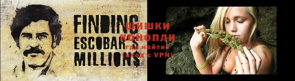 экстази Вяземский
