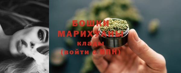 сатива Володарск