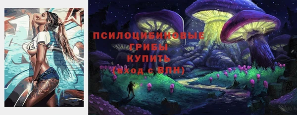 мдпв Вязьма