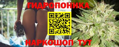 Альфа ПВП Донской