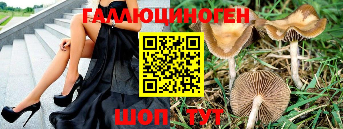 Муром  Галлюциногенные грибы MAGIC MUSHROOMS  Вход с VPN  Псилоцибиновые грибы прущие грибы 